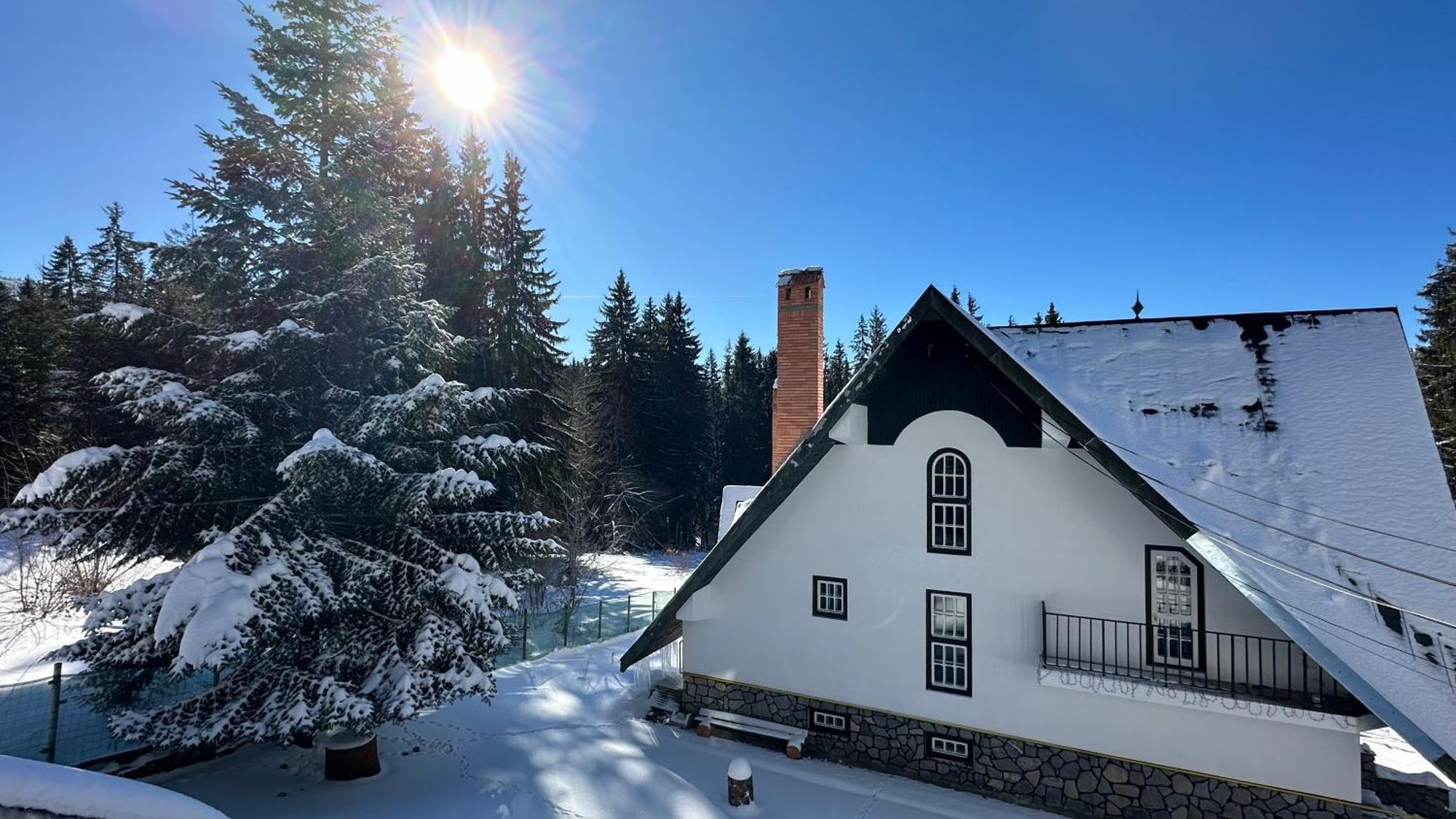 Pine Peak Apartments Predeal Buitenkant foto