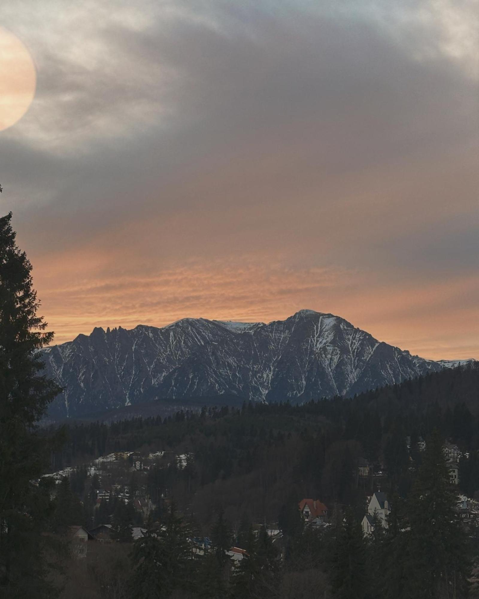Pine Peak Apartments Predeal Buitenkant foto
