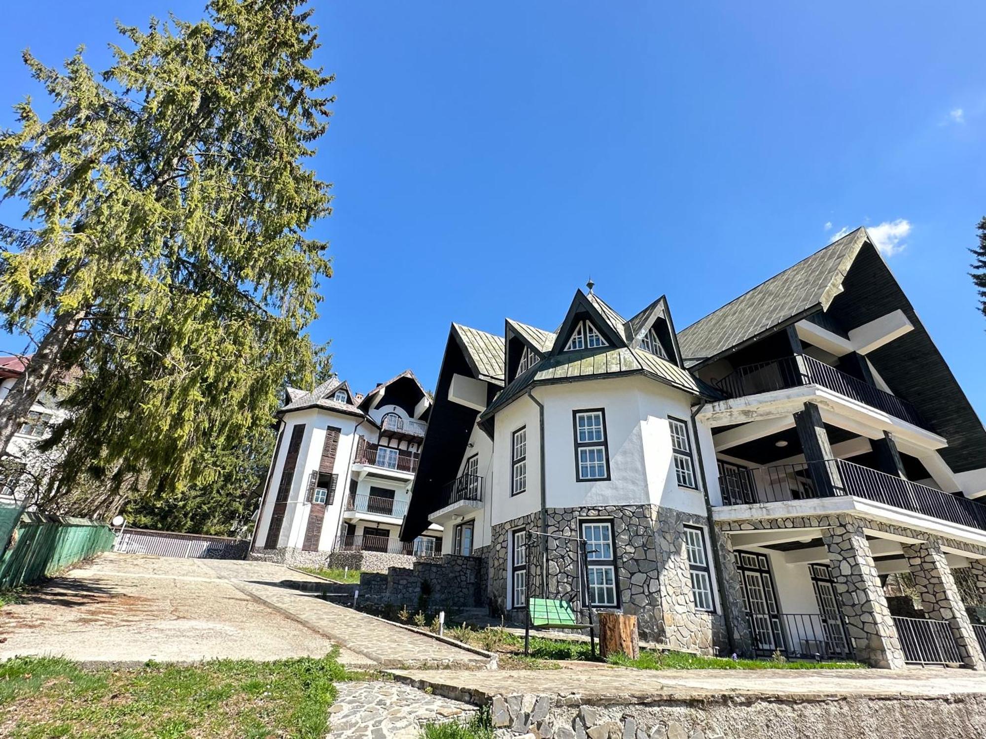 Pine Peak Apartments Predeal Buitenkant foto