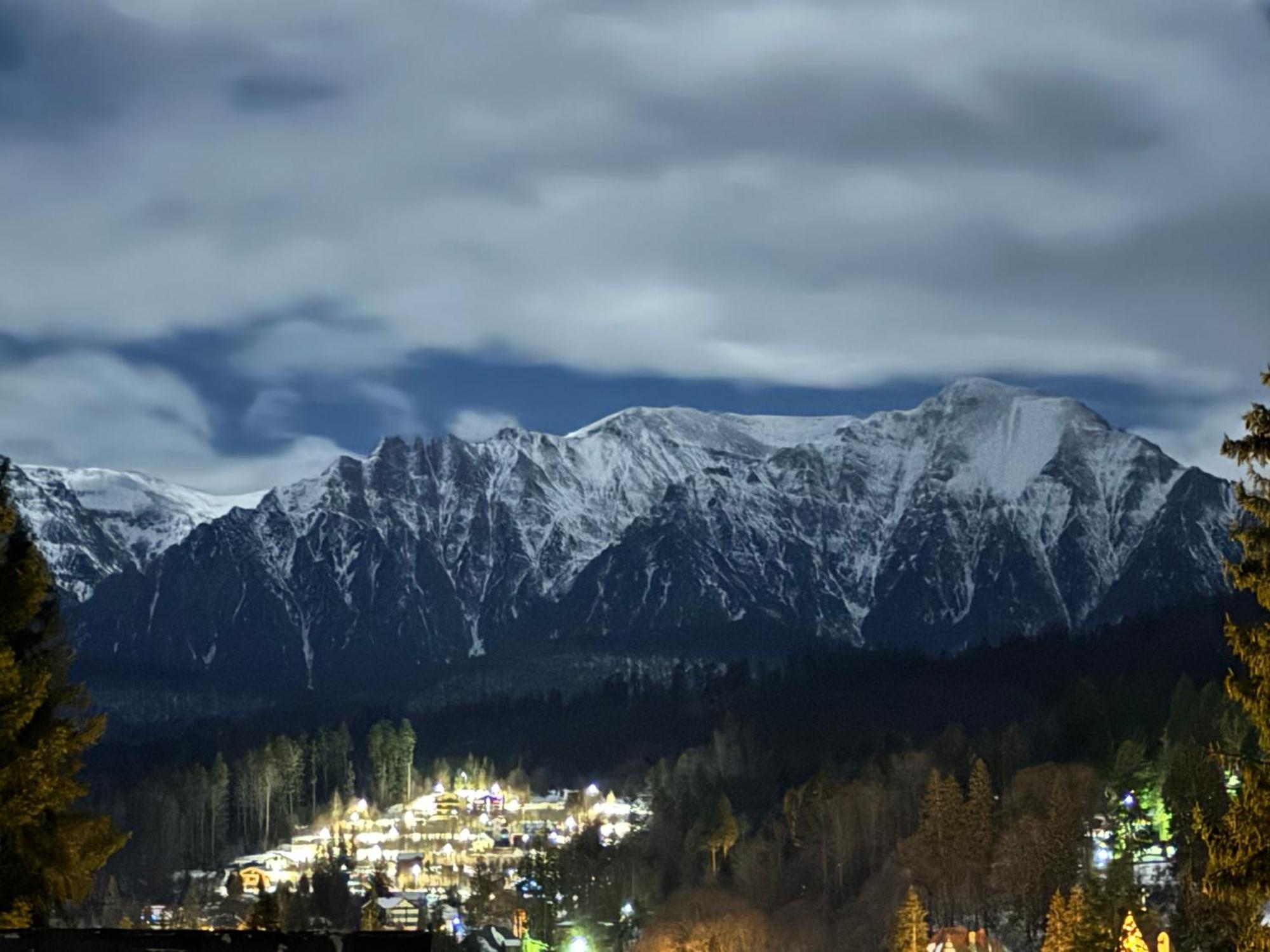 Pine Peak Apartments Predeal Buitenkant foto