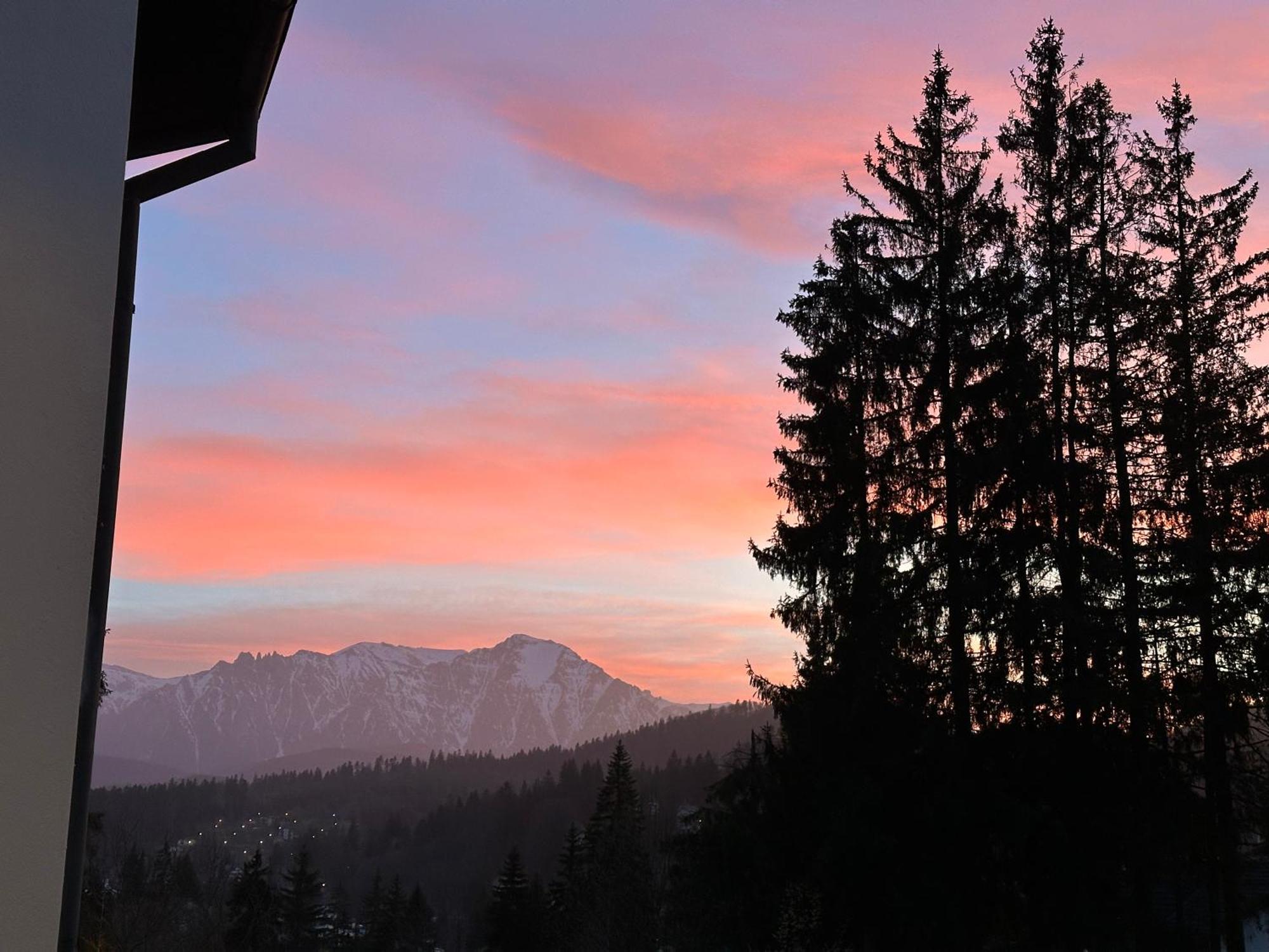 Pine Peak Apartments Predeal Buitenkant foto