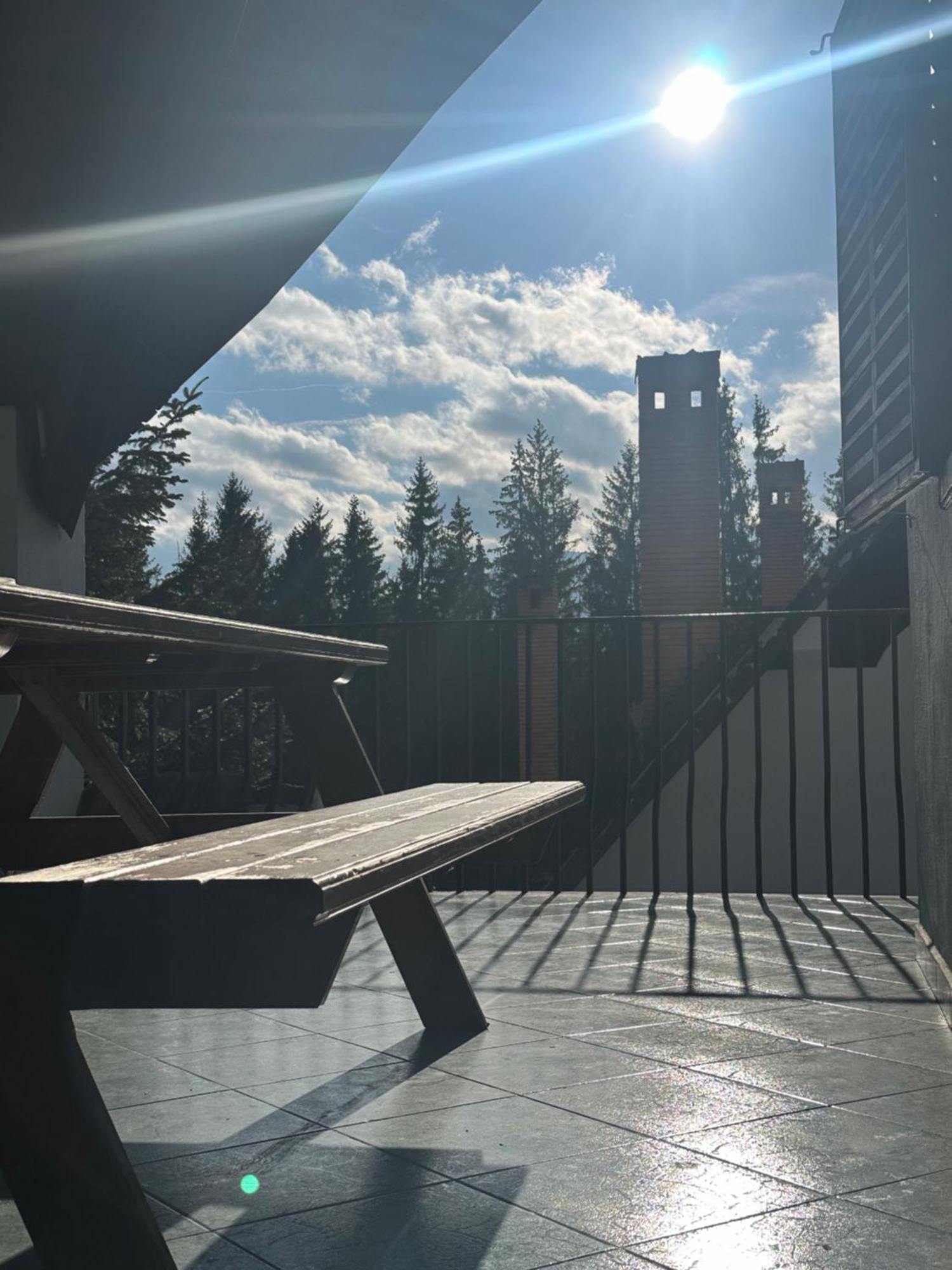 Pine Peak Apartments Predeal Buitenkant foto