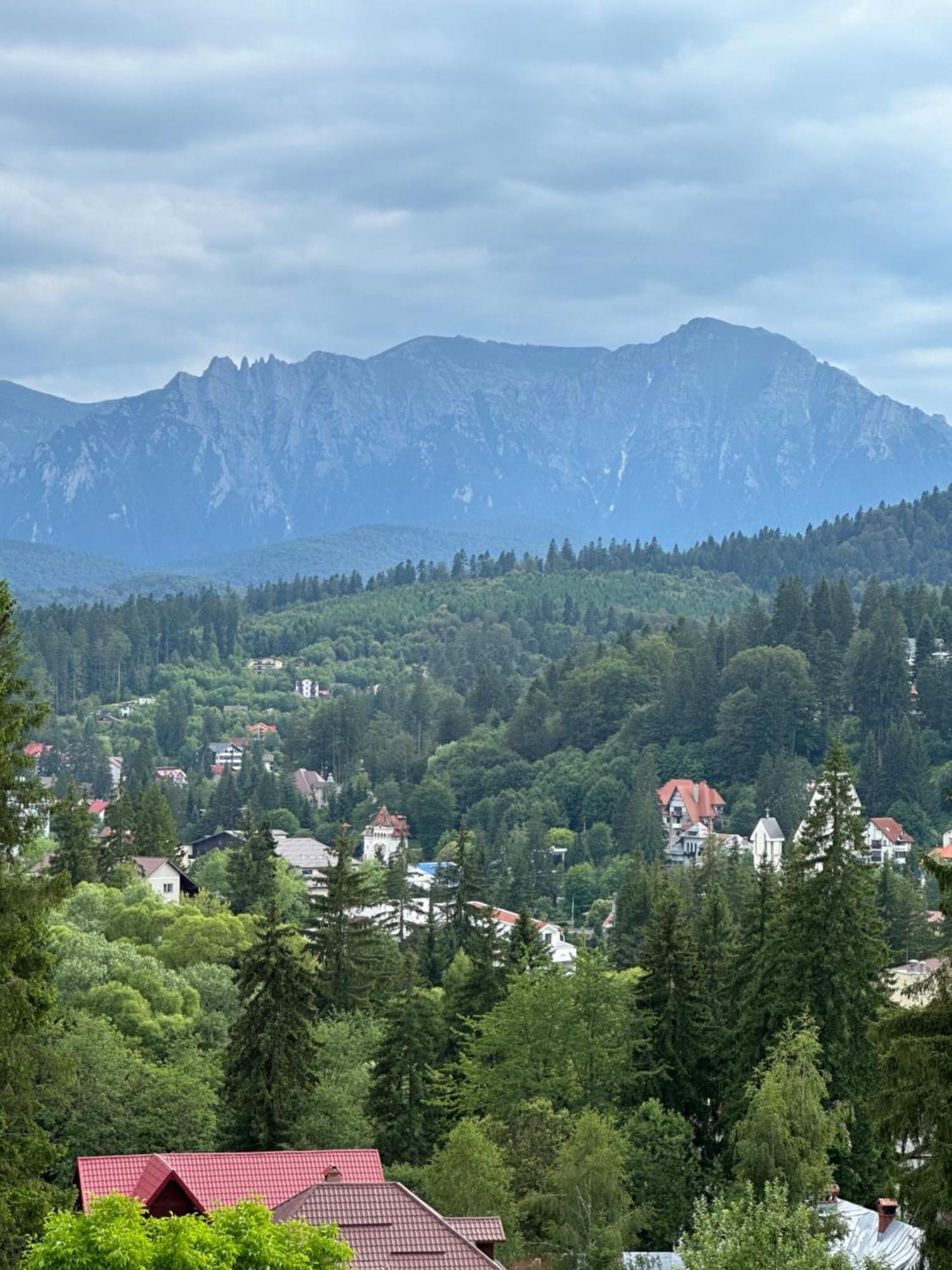 Pine Peak Apartments Predeal Buitenkant foto