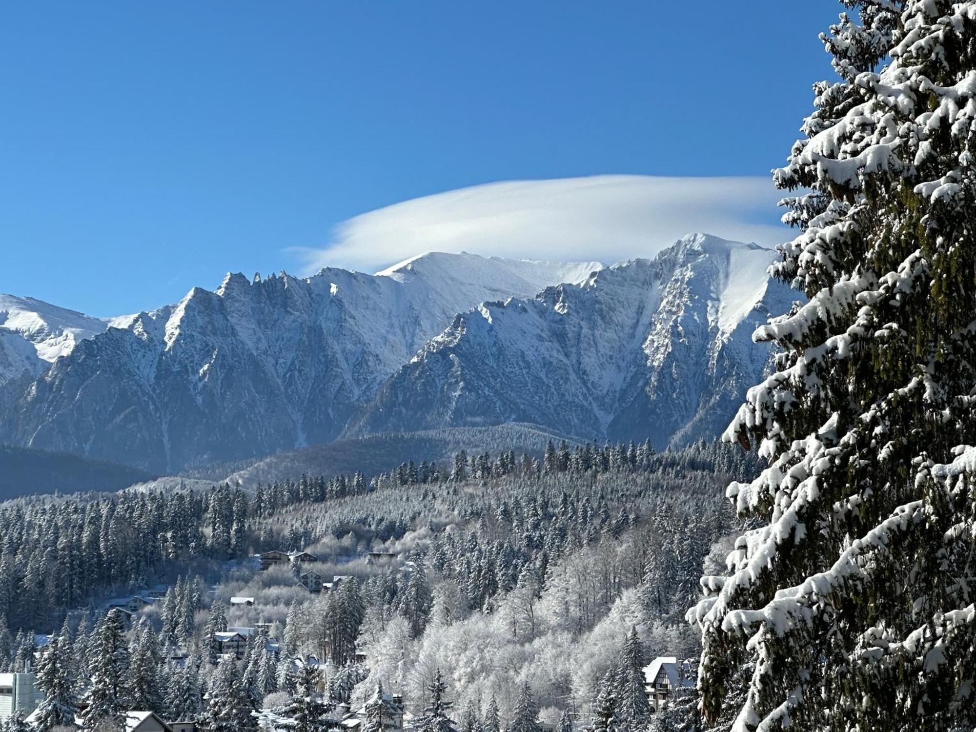 Pine Peak Apartments Predeal Buitenkant foto