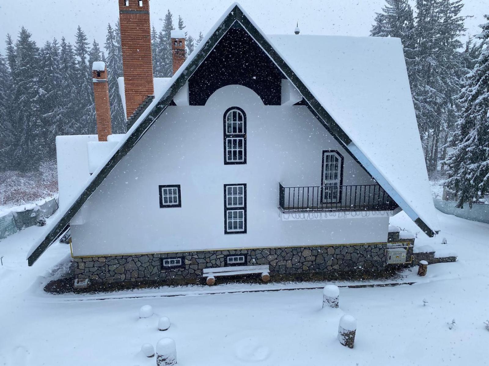 Pine Peak Apartments Predeal Buitenkant foto